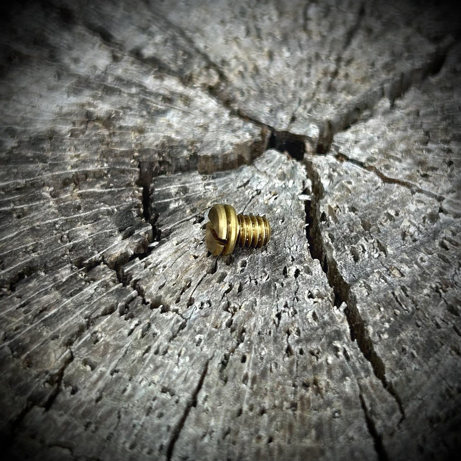 DMC | Top Clipcord Screw