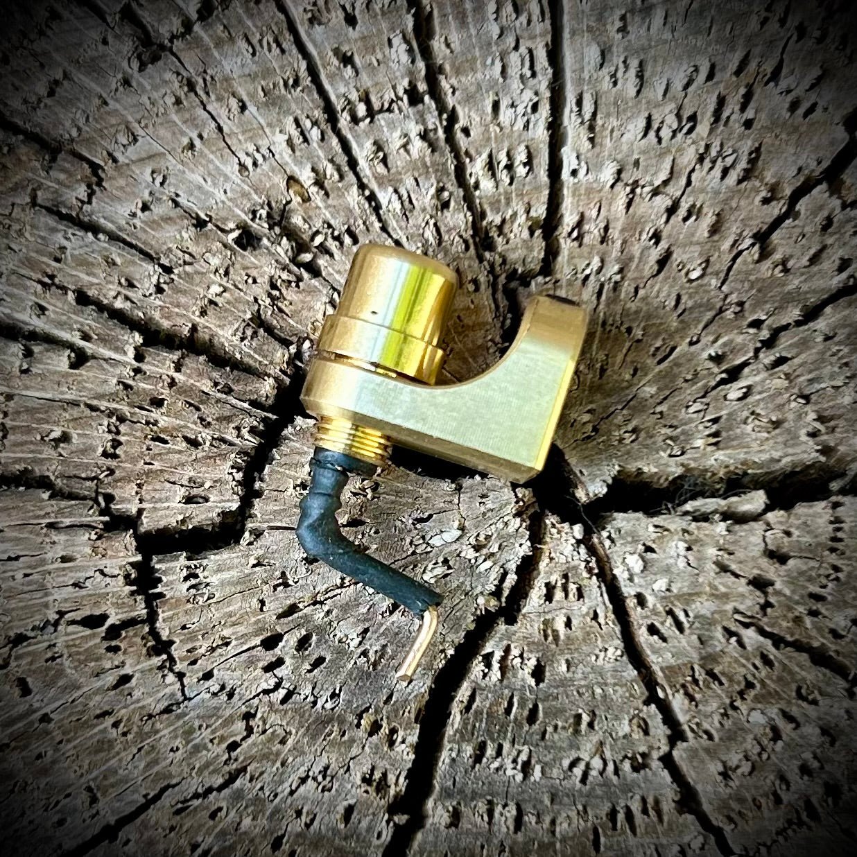 Full Monty RCA Adapter - Dan Kubin Rotary - 